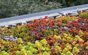 the cost of Strabane green roof installation