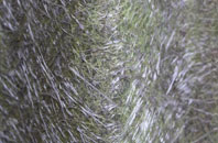 Strabane fibreglass roof work